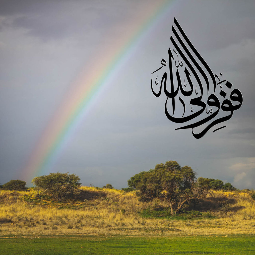 Al-Dhariyat 51, 50