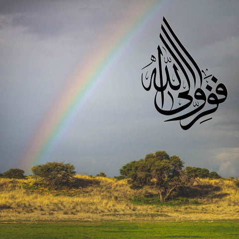 Al-Dhariyat 51, 50